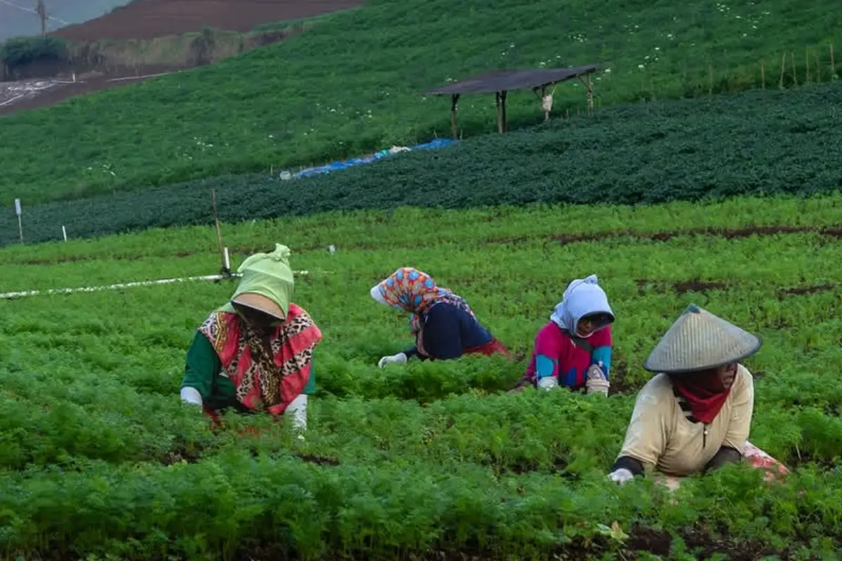 Petani Muda BerJaya Class Season III Perkuat Regenerasi, Cetak Agripreneur Masa Depan