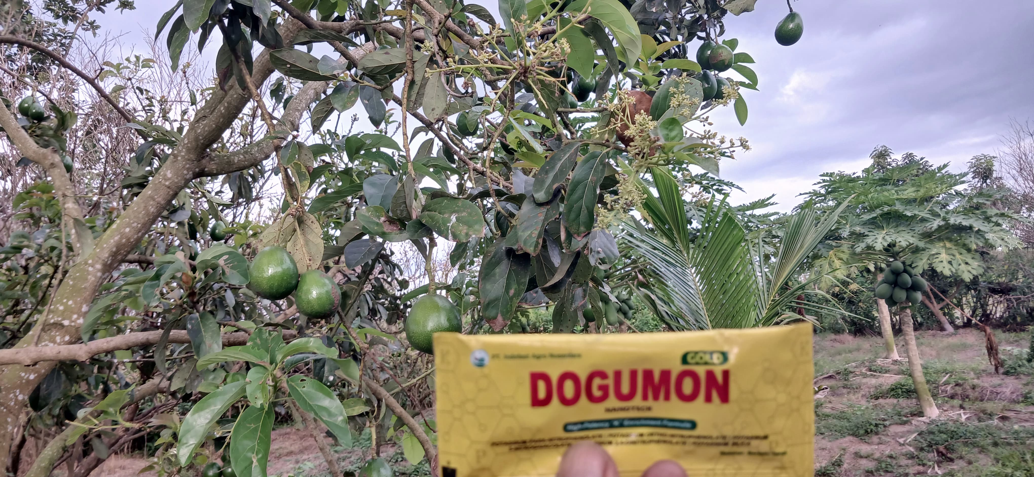 Dari Wringinagung, Produk PT Indofast Agro Nusantara Mulai Dilirik Petani Banyuwangi
