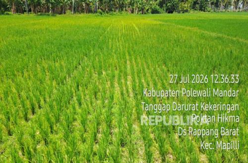 Taiwan Tawarkan Kolaborasi Strategis Pengembangan Kawasan Percontohan Pertanian Cerdas di Indonesia