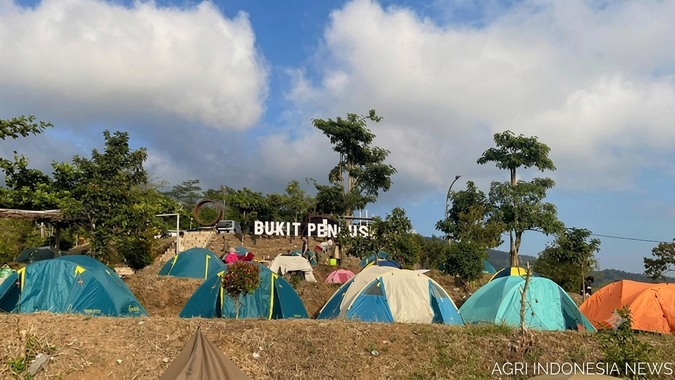 Bukit Pengusen Pati: Destinasi Camping di Lereng Muria yang Menyimpan Jejak Sejarah Pengungsian Tentara Belanda