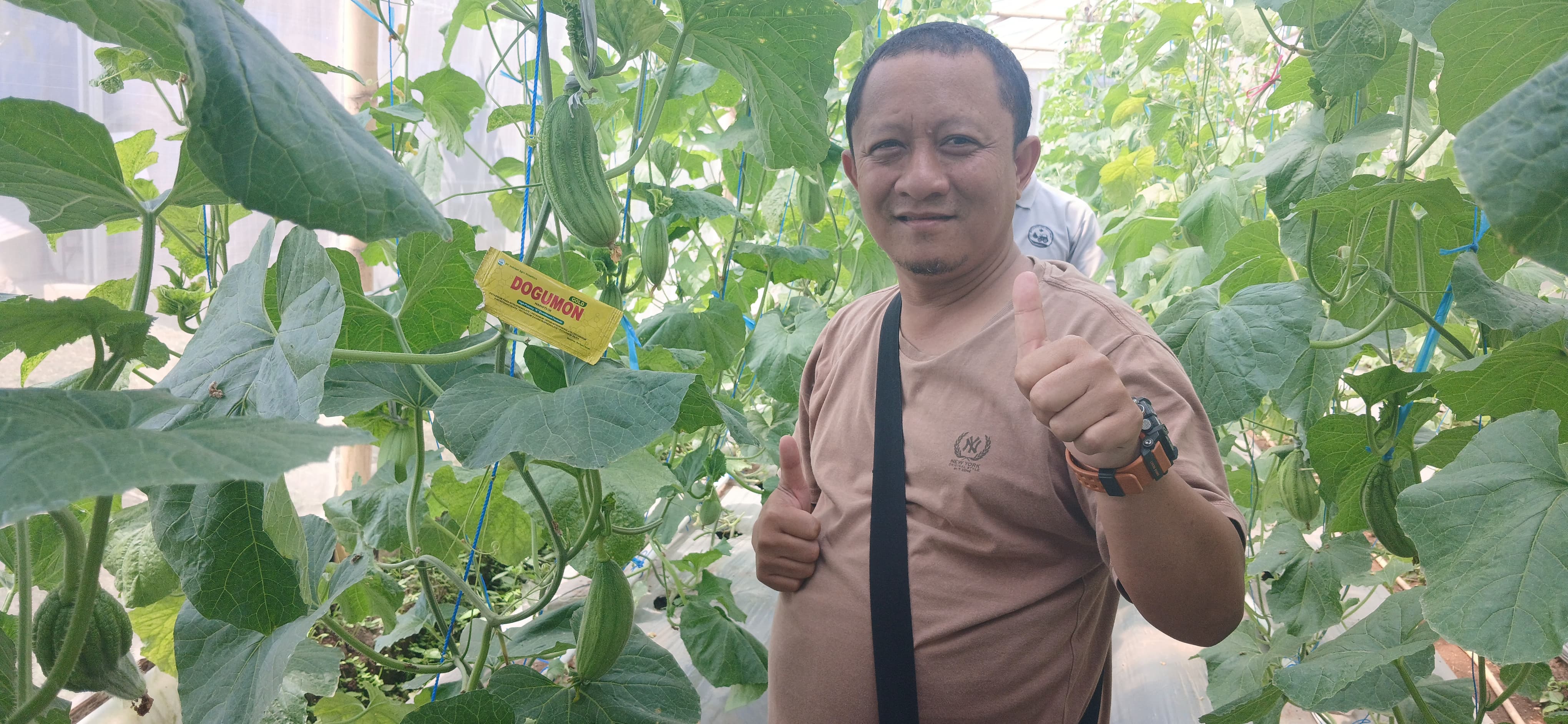 Presiden PT Indofast Agro Nusantara Dr. Eko Pranyoto Kenalkan DOGUMON di Lahan Riset Timun Mas Banyuwangi