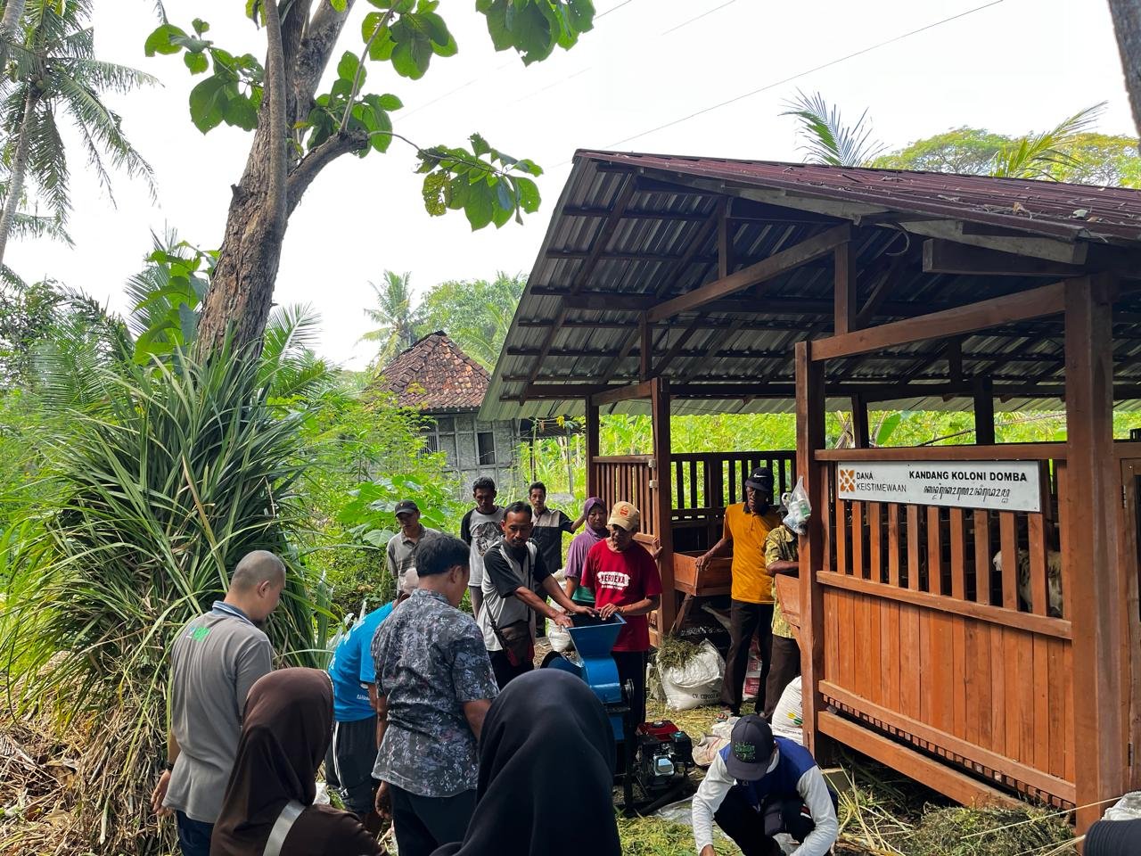 Rahasia Kambing Gemuk Tanpa Cari Rumput Setiap Hari, Peternak Kulon Progo Antusias Ikuti Pelatihan Silase