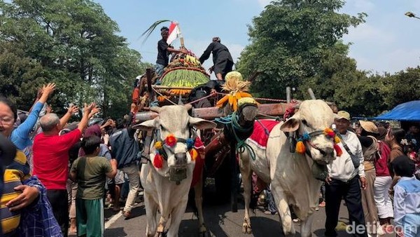Parade Cikar Kediri 2026: Lestarikan Tradisi, Perkuat Potensi Peternakan dan Ekonomi Lokal