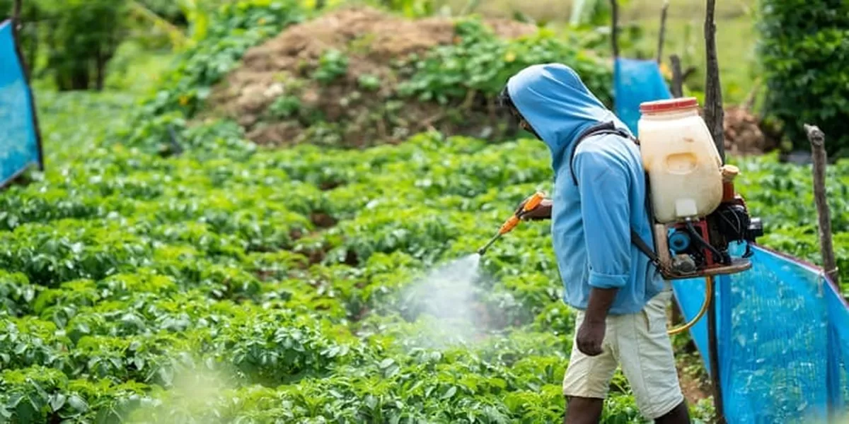 kenali Cara Kerja Pestisida pada Tanaman, Petani Perlu Memahaminya
