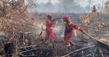 Karhutla Riau Meluas, Efek Domino Mengancam Pariwisata, UMKM hingga Ekonomi Lokal