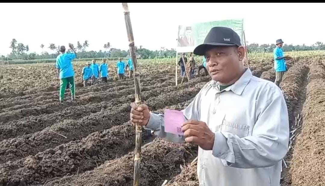 Petani Tebu Malang Raih Bantuan Kementan Melalui Koperasi Bintang Sembilan, Dapat Benih dan Dana Rp4 Juta per Hektare