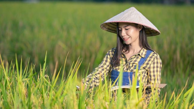 Cari Kerja Susah, Banyak Gen Z Beralih ke Profesi Jadul